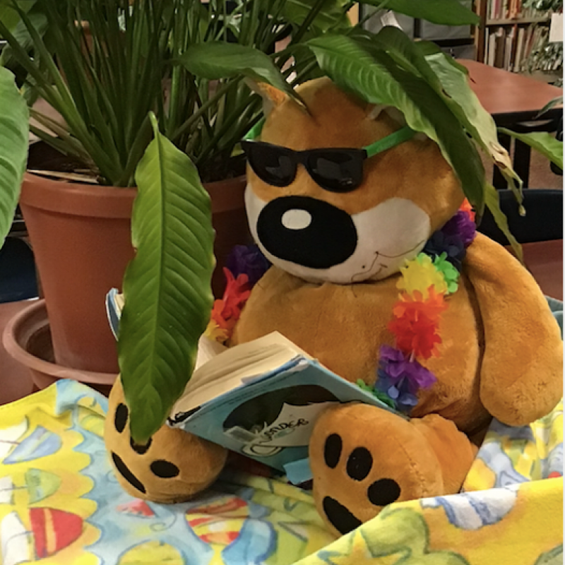 Wylee reading